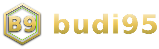 budi95 logo